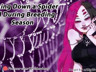 Drider in Breeding Season - Rough Creampie Fucked Raw!