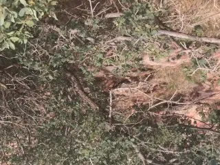 Ashley Pink, Cliff in RedRocks - Raw Action