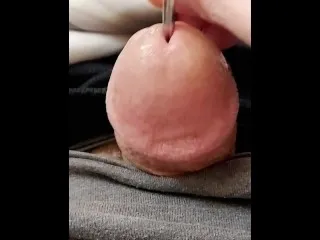 Short Rod Cock Sounding - Loud Pleasure