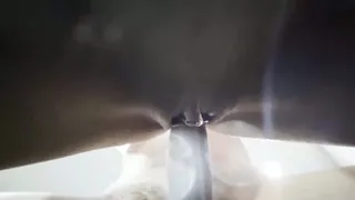 Couple Goes Wild