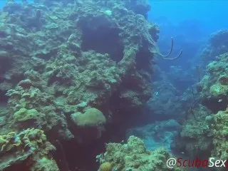 Sexy Diver Miniskirt Coral Reef Scuba