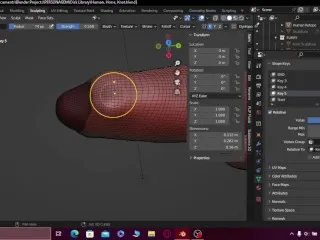 3D Animated Foreskin Tutorial - Tora