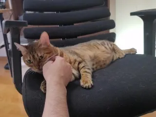 Furry Pussy Bites & Won't Let Go