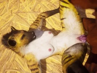 Furry Babe Gets Rough Gangbang, Squirting Wildly