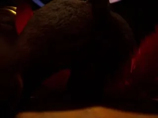 Wild Life Furry Sex: Monster Cock Squirts & Mouth Filling Cum