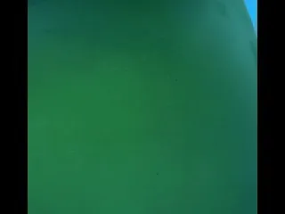 Hardcore 7min Booty Ride
