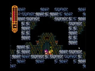 Sububo Hentai Game 2: Intense Action
