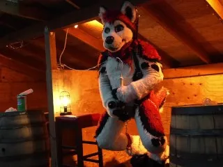 Suspension Husky Fursuit Orgasm