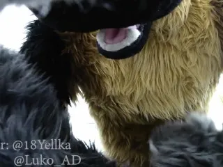 German Shepherd Dominates Submissive Bunny (Hardcore Murrsuit Porn)