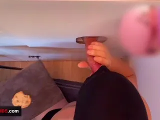 Gloryhole Blowjob - Cookie