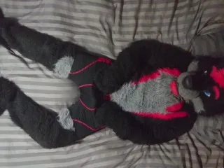 Furry Striptease Porn - Sexy Fursuits