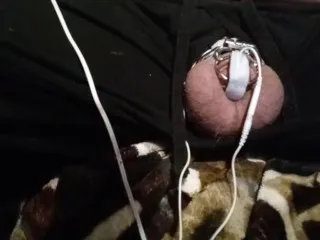 Tiny Spun Penis Electro Torture Hours - Chastity Cage