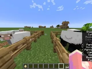 Sexy Minecraft Sex Scene - No Mods Required