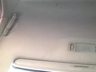 Lexus Hood Orgasm