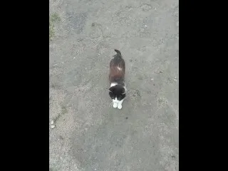 Hardcore Kishechka Scene
