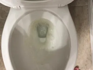 Stepsib Pisses in Toilet