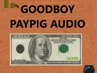 Good Boy Paypig - Audiovoyage