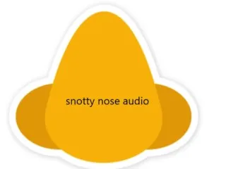 Snotty Audio - Sneezing Porn Star Scenes