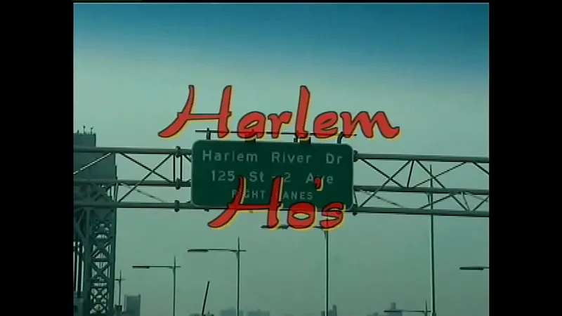 Harlem Street Whores #1 (1999) - Raw Black Sex