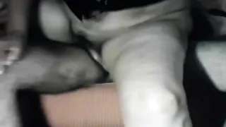 Stick Sit Ride Hardcore