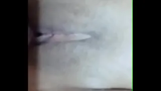 VID-20240229-WA0009 - Mar 01, 2024