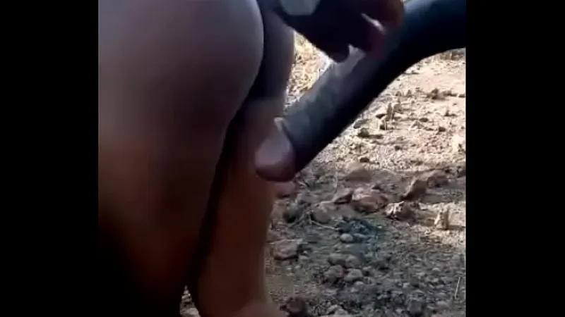 Farming Bush Hardcore