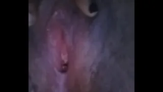 Juicy African Kitty
