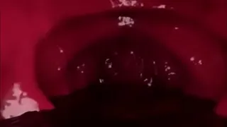 vore pov