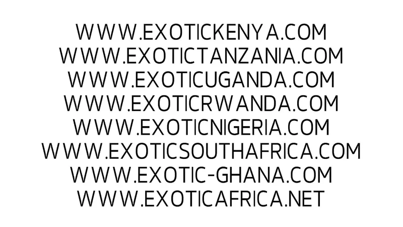 Africa's Xxx Stars - Hardcore Action
