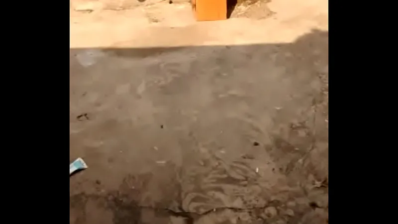 Ebony Outdoor Pussy Exposure