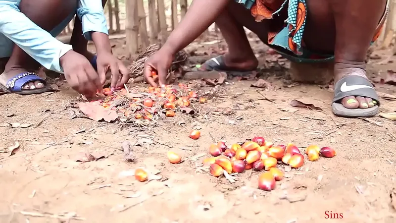 African Gift's X-rated Adventure