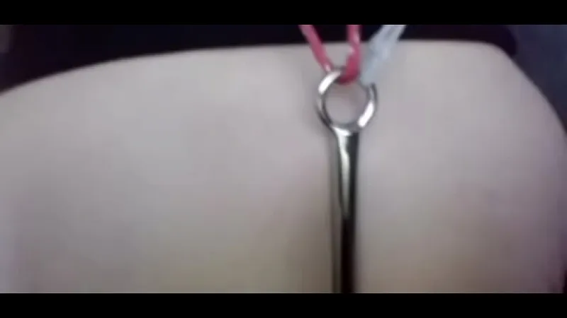 Anal hook Categories