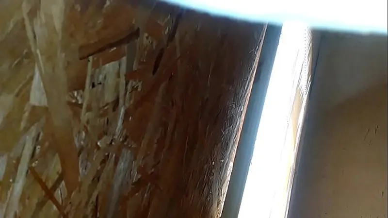 New Shit Tried in 2018 (Pornstar Names)