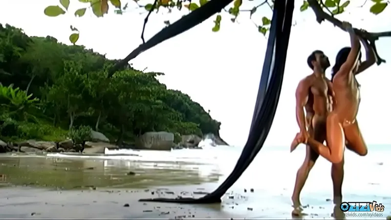 Brunette's Anal Beach Orgy w/ Partner - Hot Anal Action