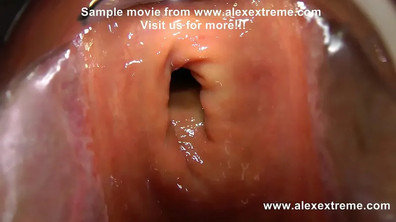 Anal Masterpiece: Gaping View with Absolute Pros
