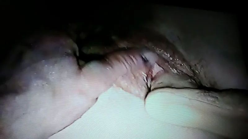 Cumming Fast & Hard