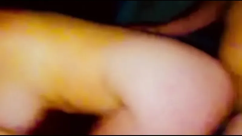 Busty Vixen 5 - Hardcore Action
