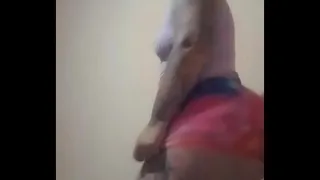 Venezuelan Big Ass