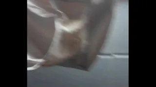 underwear hot