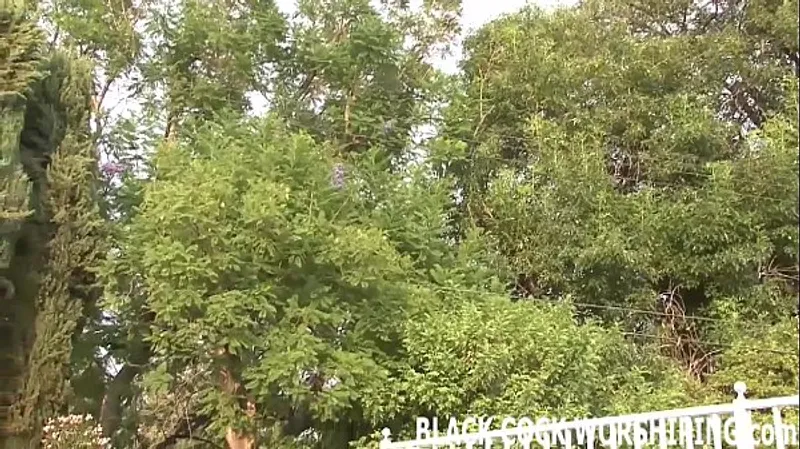 Black Stud's Big Thrusting Cock