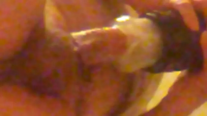 Intense No Hands Cumshot