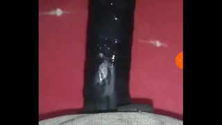 Think of an ass that likes to be broken into