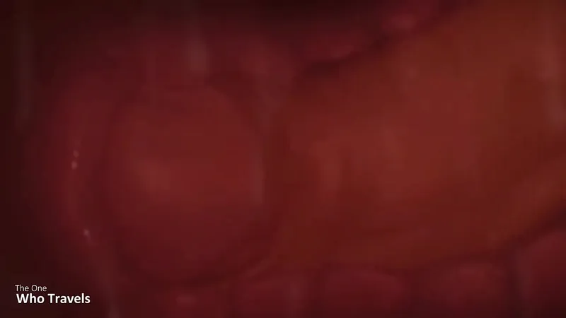 Daddy's Raw Creampie in B.G.