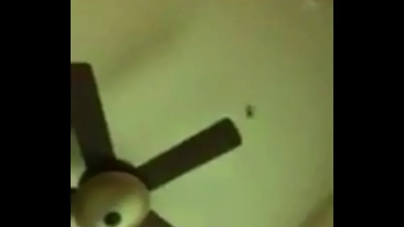 Deep Throating Asian Babe Moans Loudly