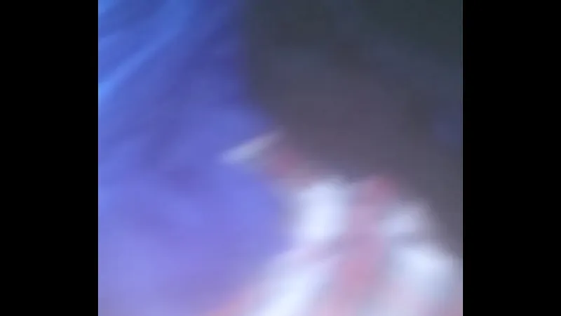 Hardcore Great Star Scene