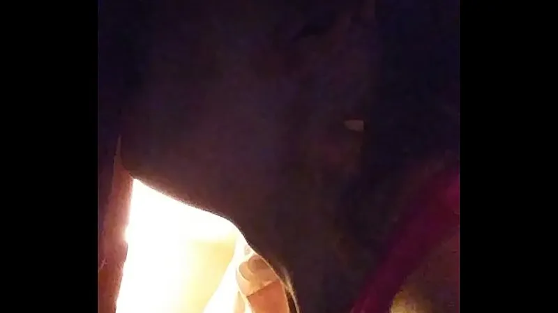 Deepthroat - Intense Oral Action