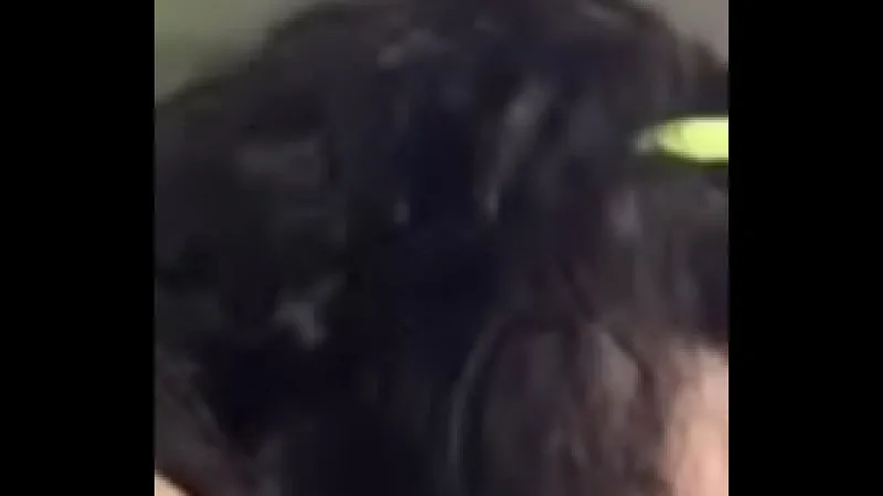 Teddy Elephant Blowjob