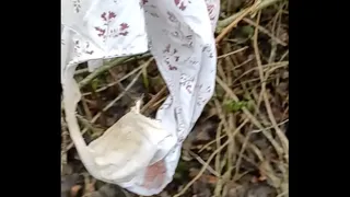 Public waxed in dirty panties