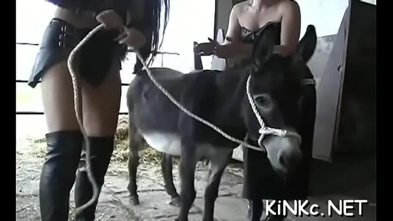 Riding Donkey with Angel - Hardcore Ride
