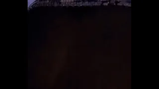 Bixoxo doggy fuck